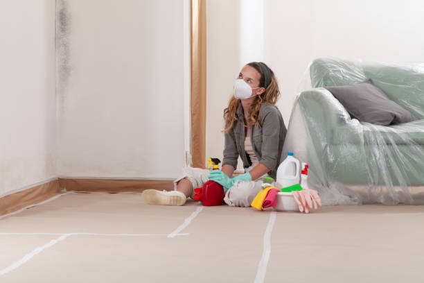 Reliable Black Mold Removal contractor in Selinsgrove, PA by WQB Mold Removal